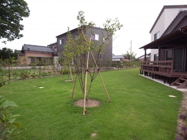 庭